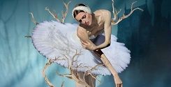 Le Lac des Cygnes, une œuvre intemporelle
