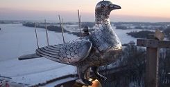 Le pigeon de Novgorod 