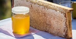 Oural : le Festival du miel bachkir