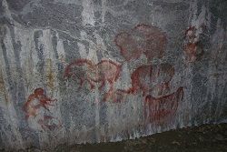 Les fresques murales animalières Les fresques murales animalières