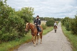 Cours d'équitation dans la réserve de Berezinsky en Biélorussie